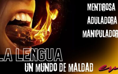 Estudios Biblicos 29 de Mayo 2024