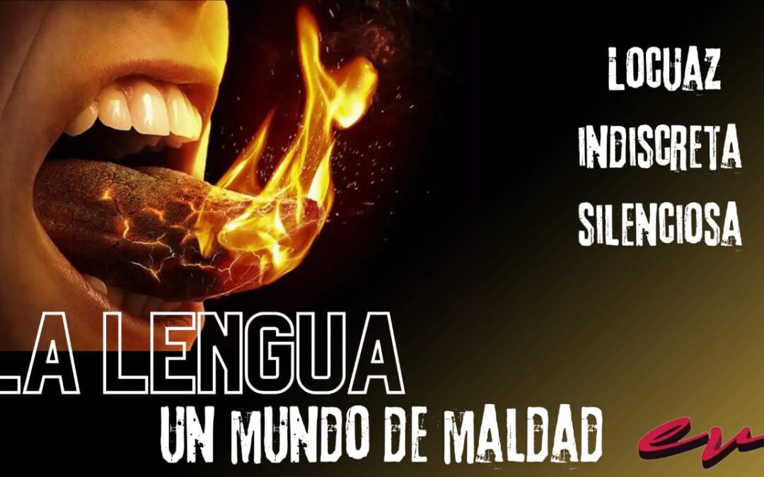 Estudios Biblicos 30 de Junio 2024