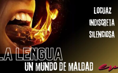 Estudios Biblicos 30 de Junio 2024