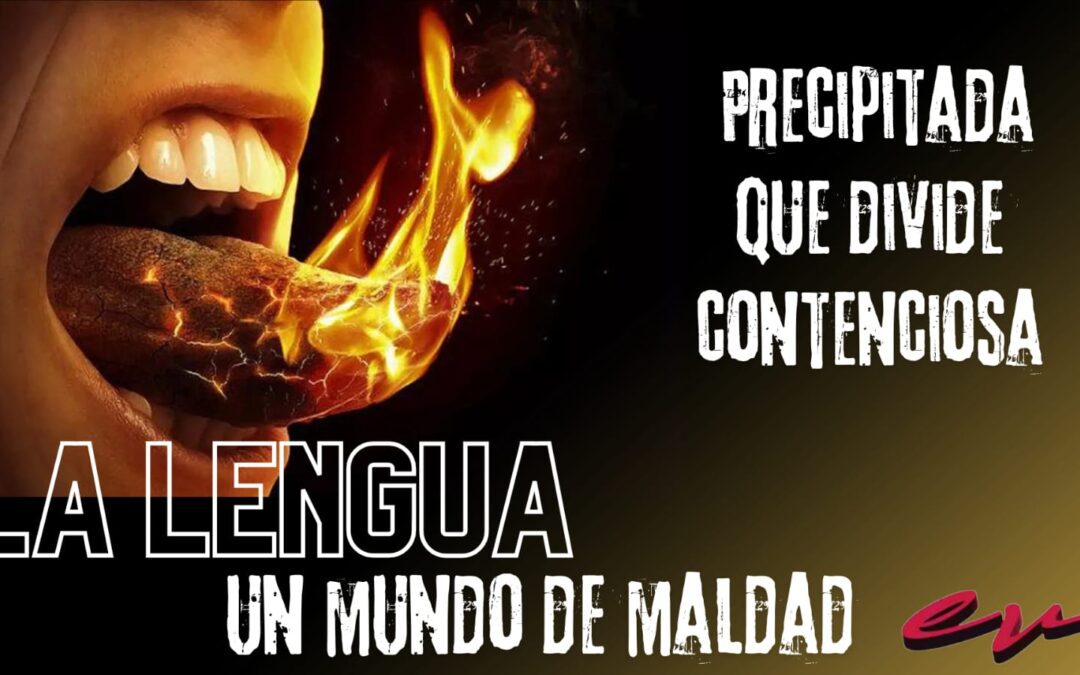 Estudios Biblicos 5 de Junio 2024