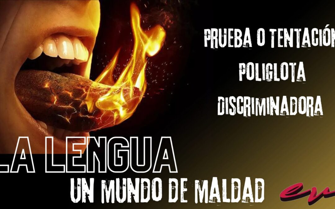 Estudios Biblicos 7 de Julio 2024