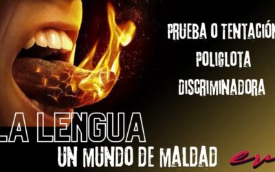 Estudios Biblicos 7 de Julio 2024