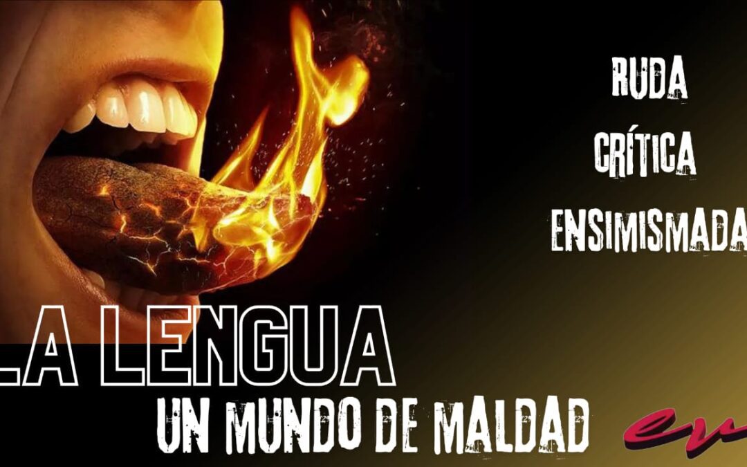 Estudios Biblicos 23 de Junio 2024