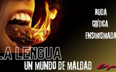 Estudios Biblicos 23 de Junio 2024