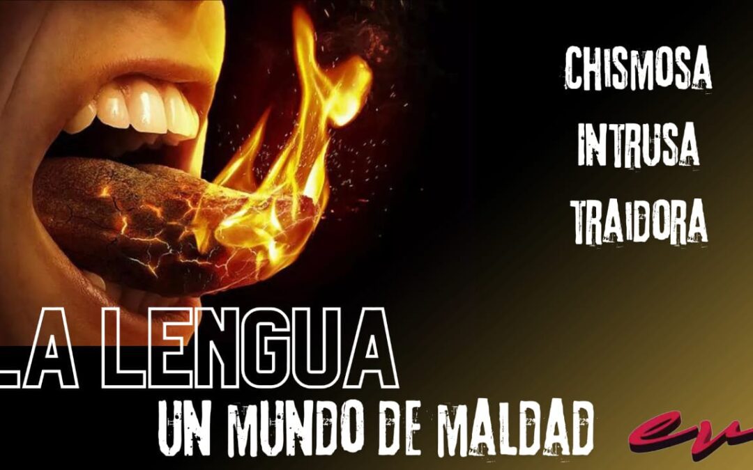 Estudios Biblicos 12 de Junio 2024