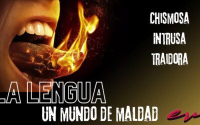 Estudios Biblicos 12 de Junio 2024